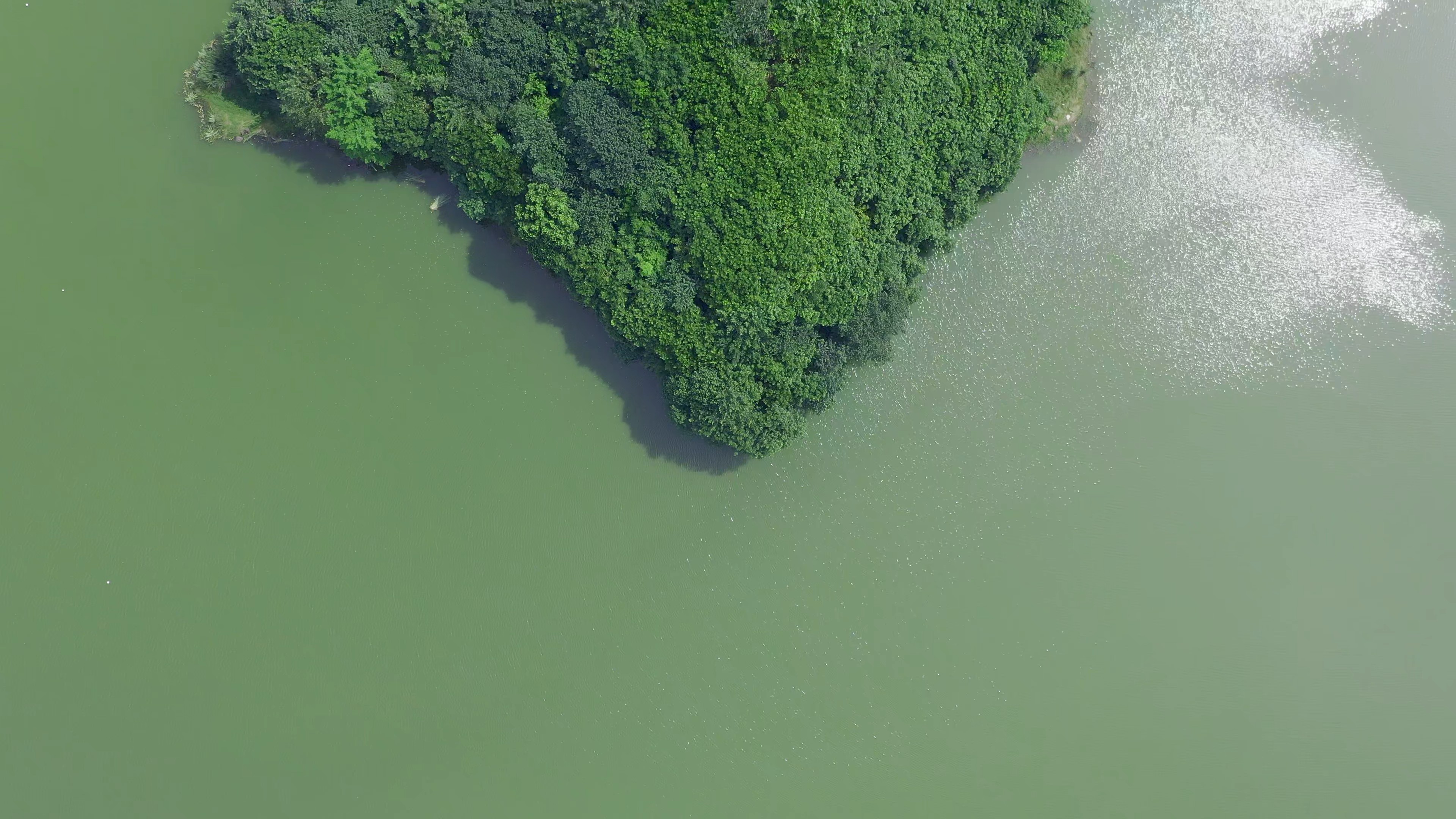4K垂直航拍湖水里的小岛森林生态素材视频的预览图