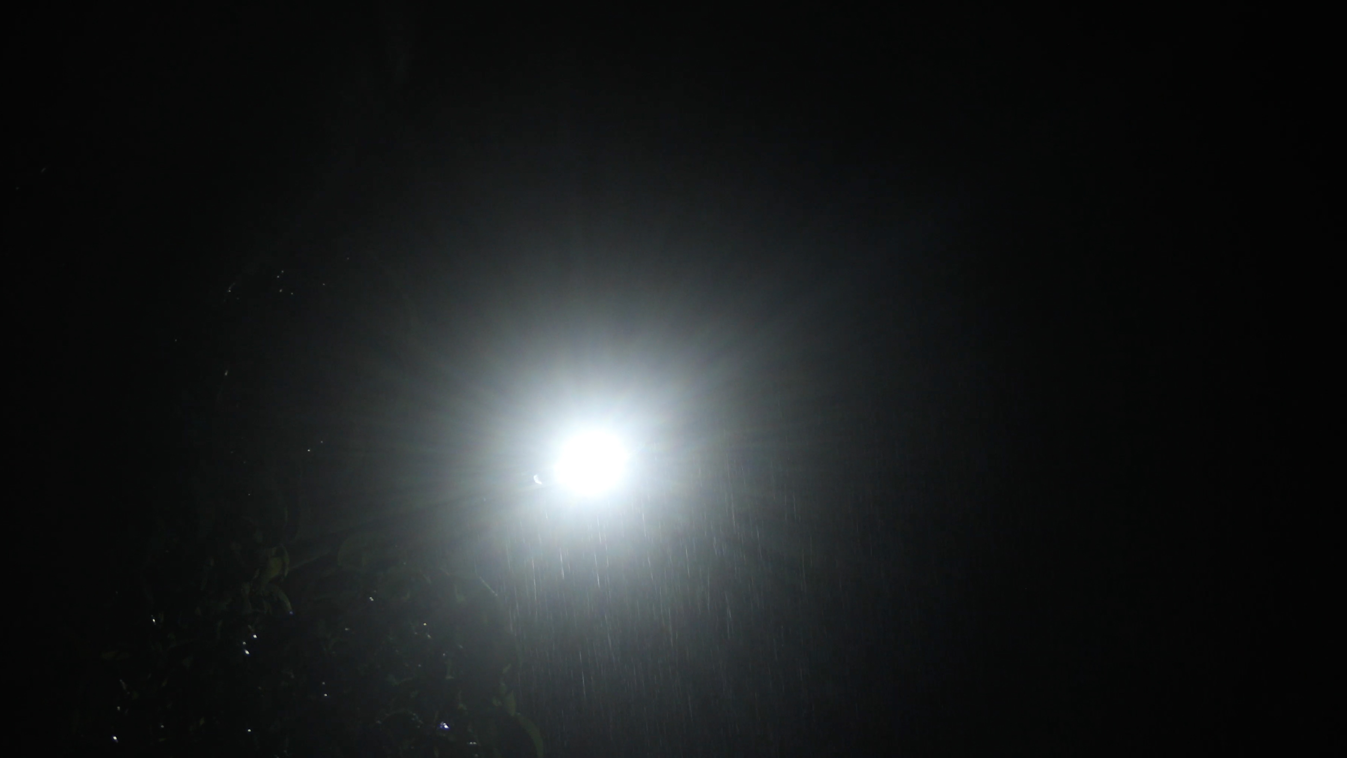 4k雨天路灯下的唯美镜头全景中景特写视频的预览图