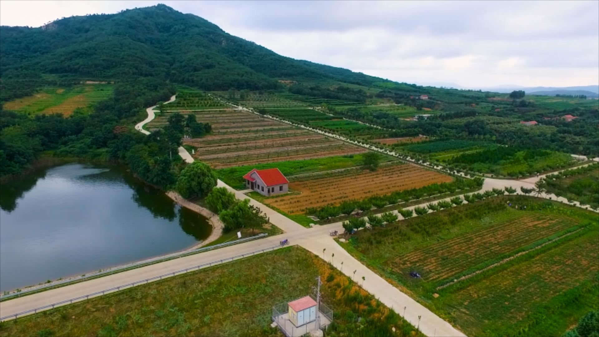 1080P航拍自然风景山水田间湖泊视频的预览图