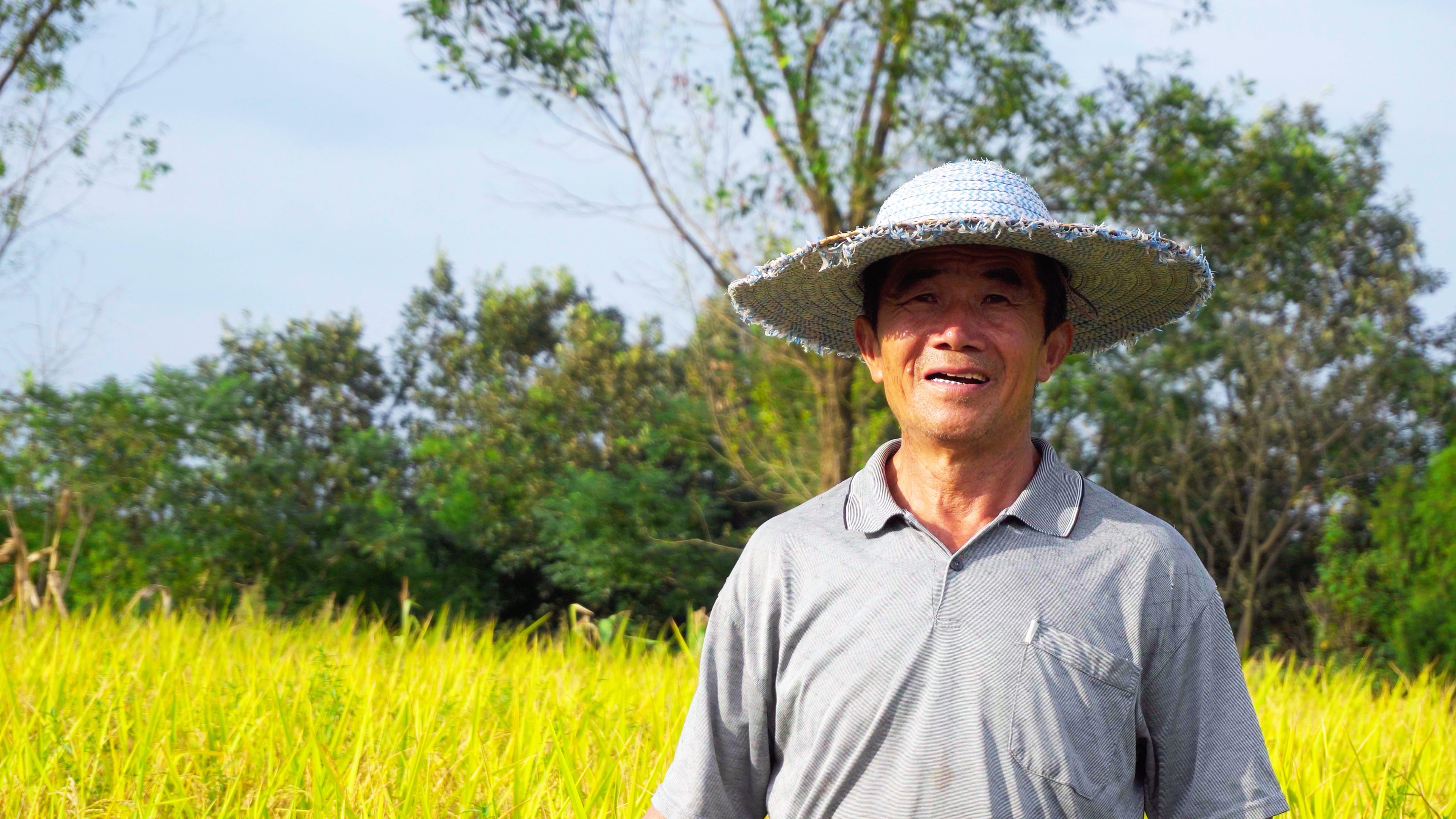 4K实拍农民站在稻田看着镜头微笑视频的预览图