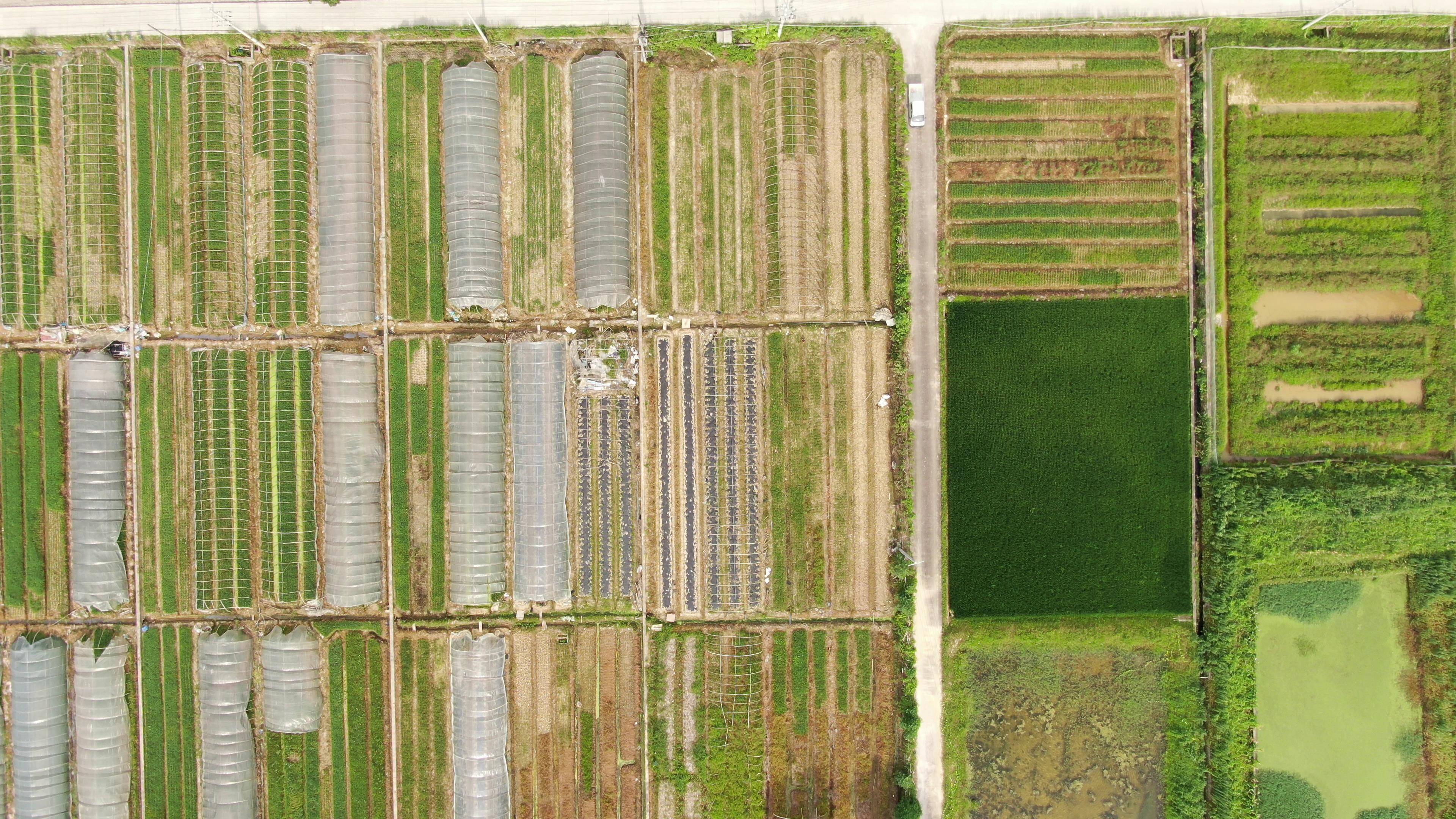 4K航拍大棚蔬菜种植地视频的预览图