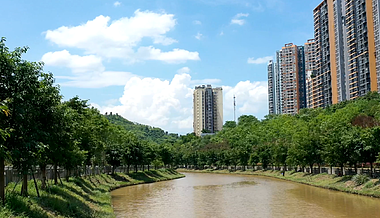 1080P公园河道延时摄影城市公园视频的预览图
