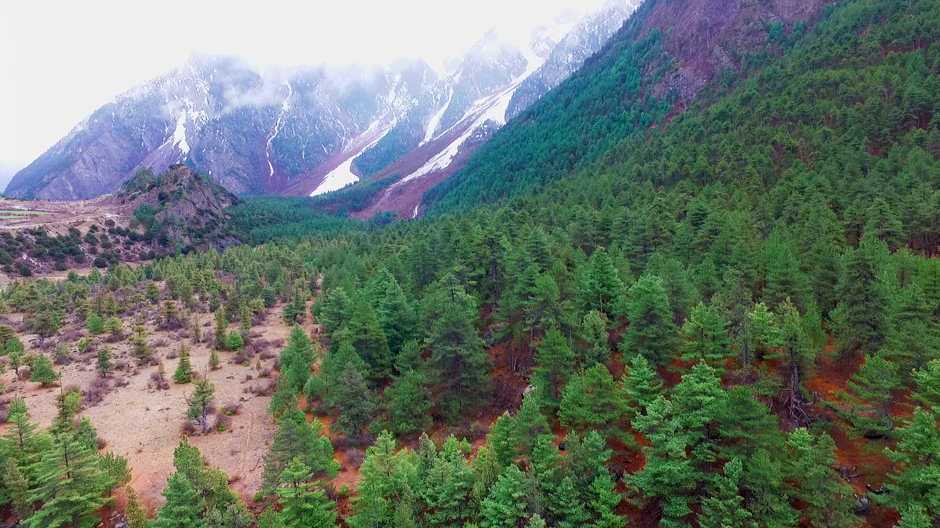 1080P西藏海拔5000米色季拉山视频的预览图