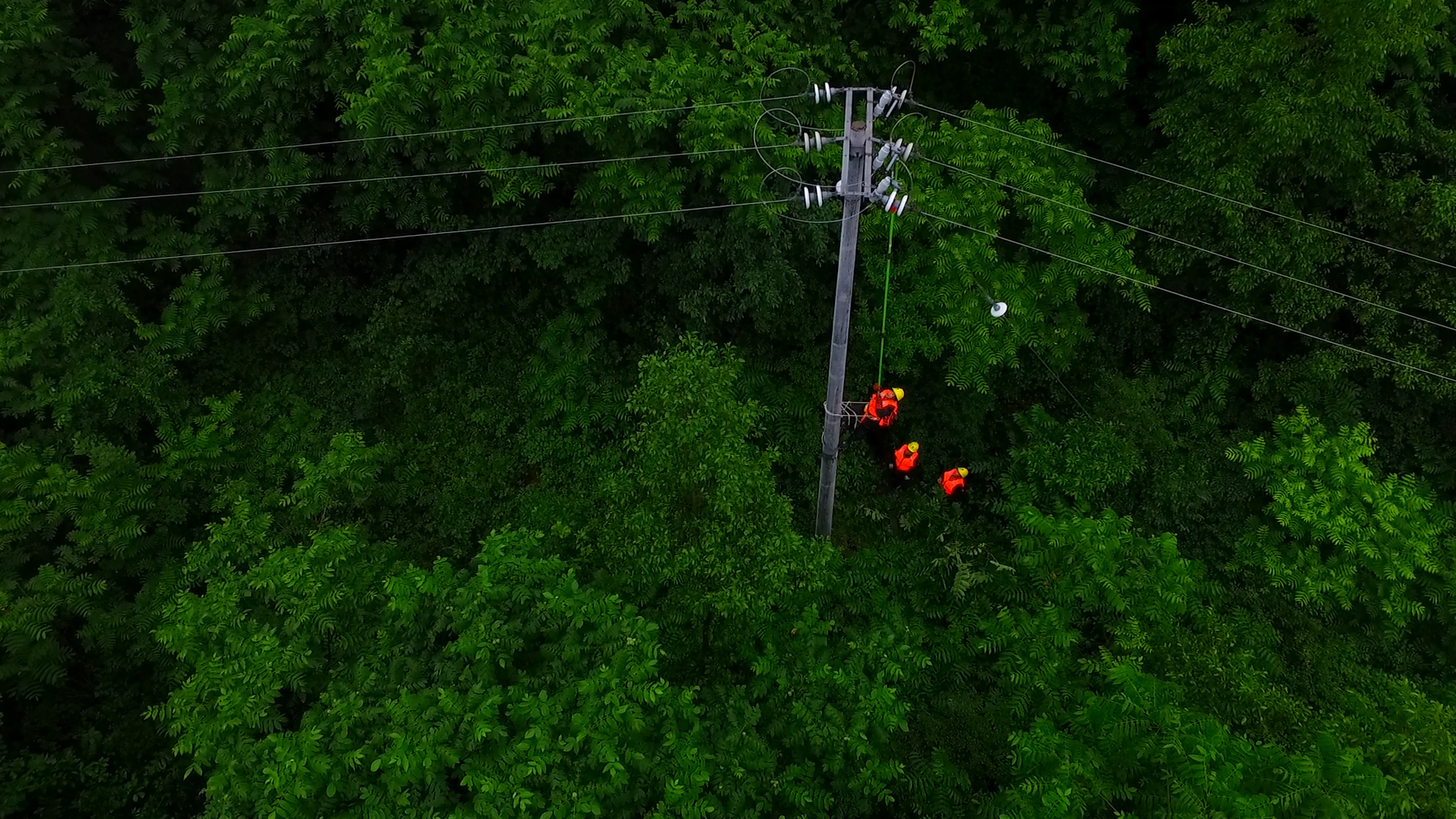 1080P迎战台风电力工人抢修线路视频的预览图