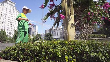 4K实拍城市街道绿化带工人浇水视频素材视频的预览图