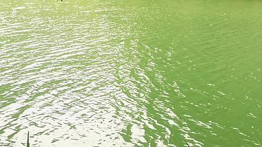 4K实拍碧波荡漾的湖面风景视频素材视频的预览图