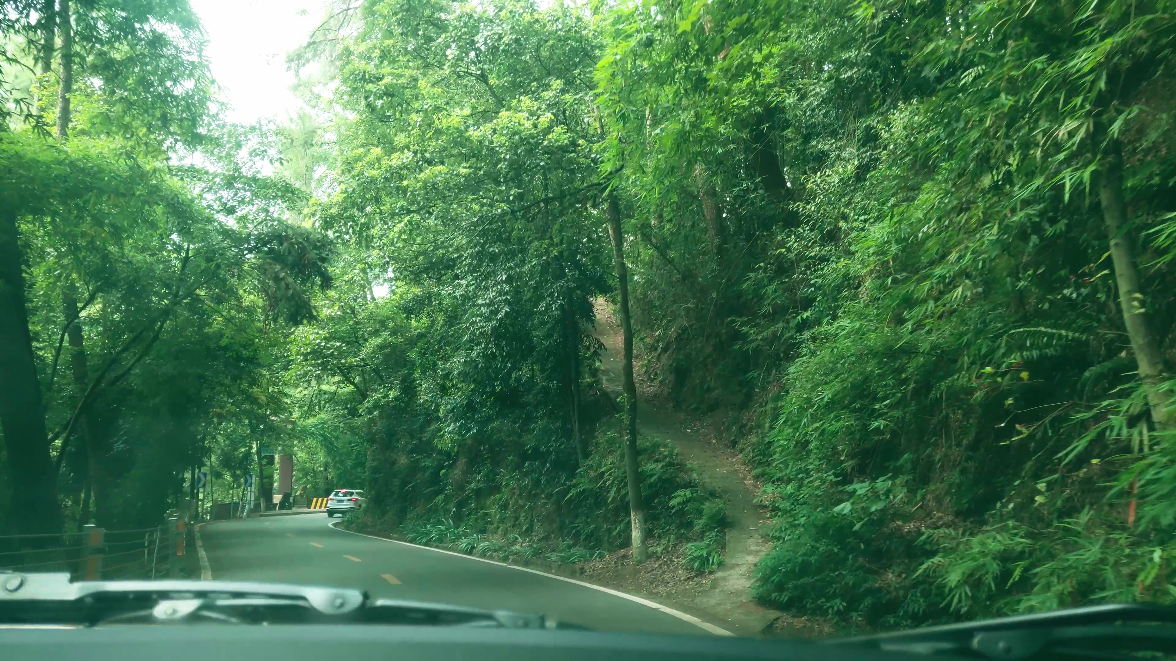 4K实拍汽车行驶在绿树成荫的公路视频素材视频的预览图