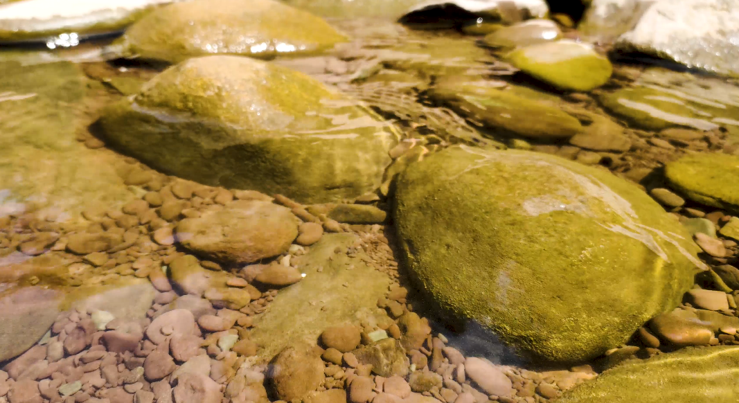 4k小溪流鹅卵石特写空镜头视频的预览图