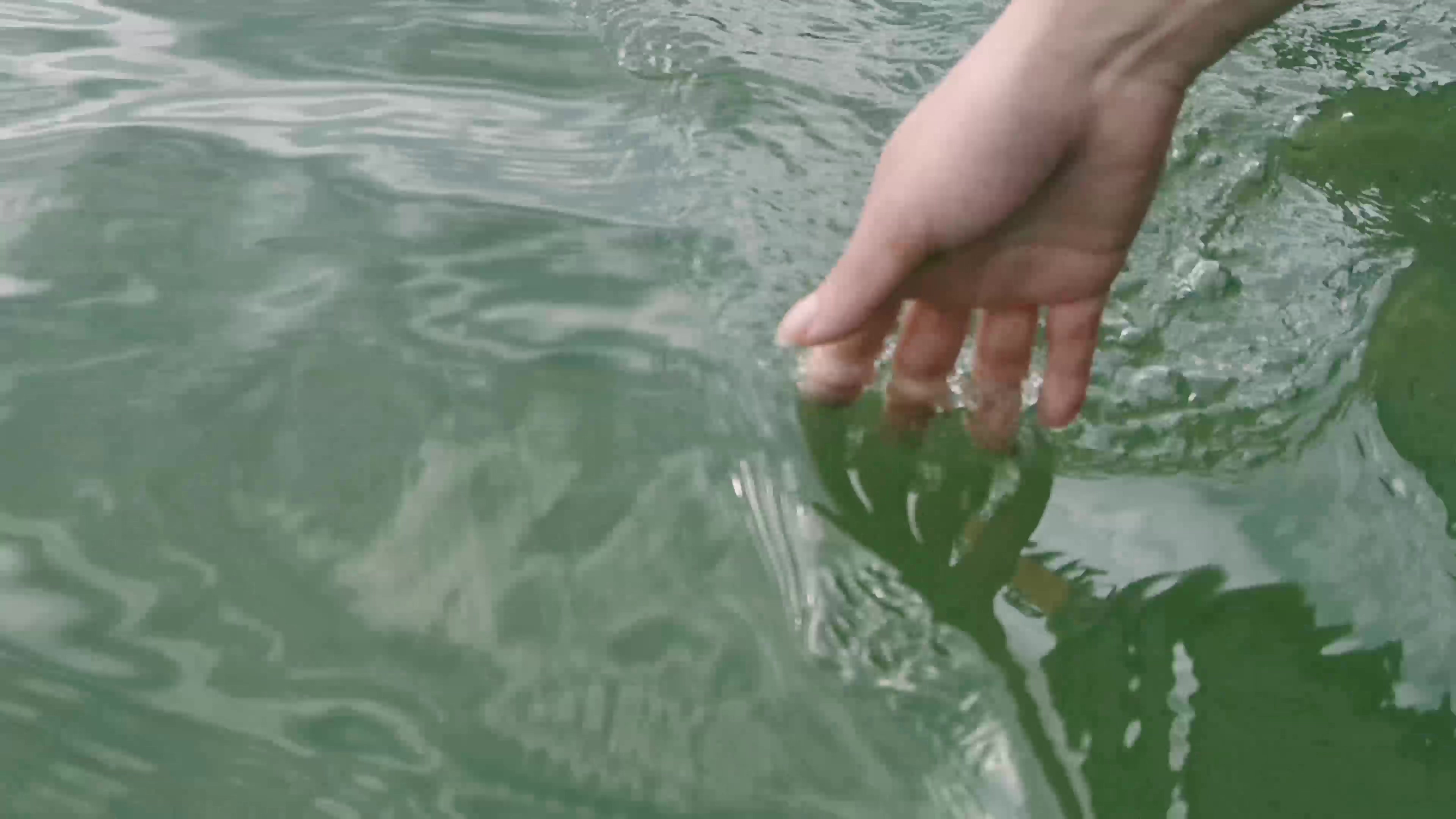 4K实拍游客在船上用手划水视频素材视频的预览图