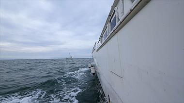 1080P游轮在海上行驶升格视频的预览图