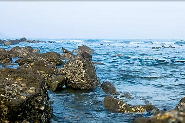 1080P高清实拍青岛海上的浪花视频的预览图