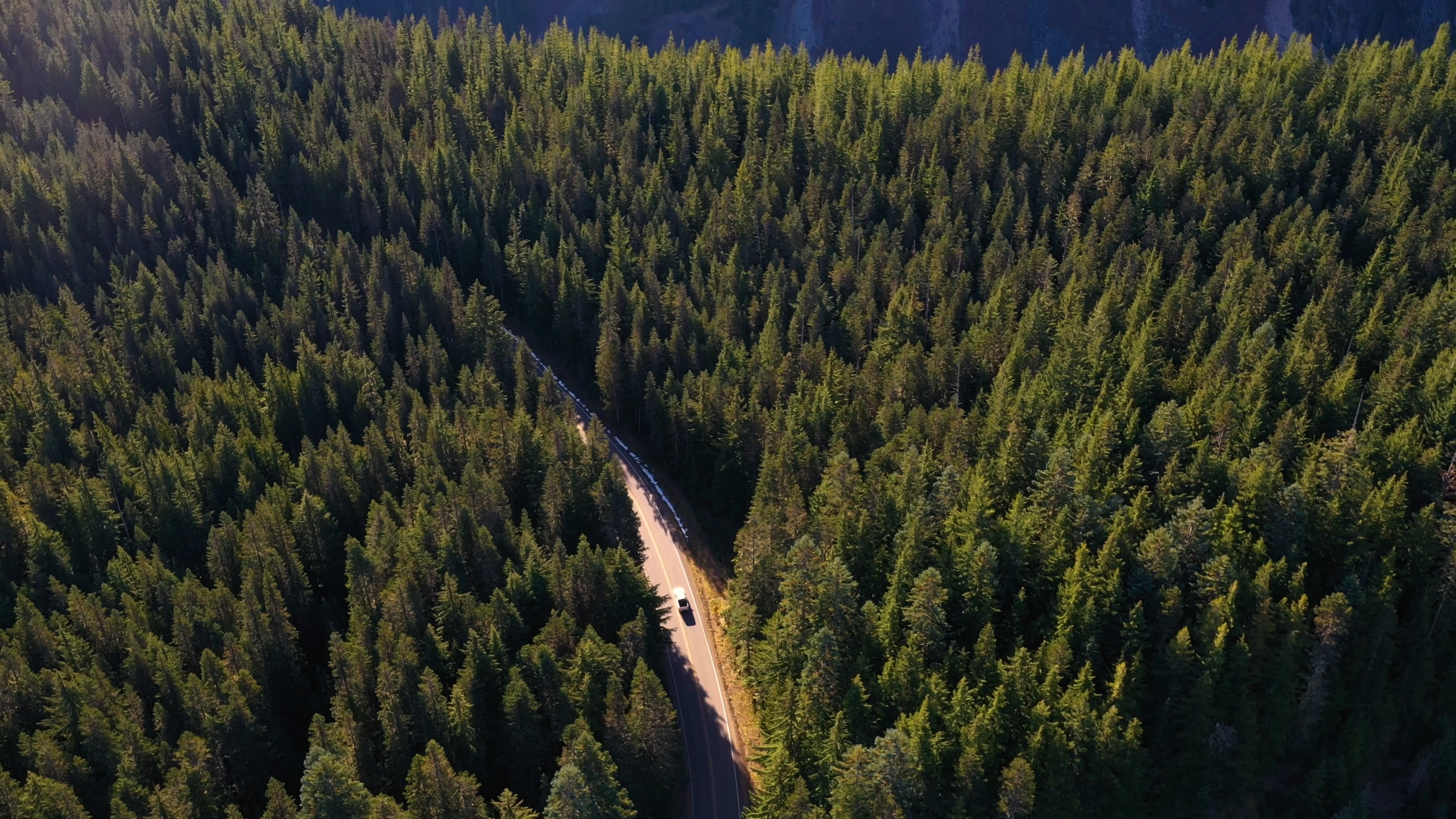 4K航拍行驶在秋天森林公路上的小车视频的预览图