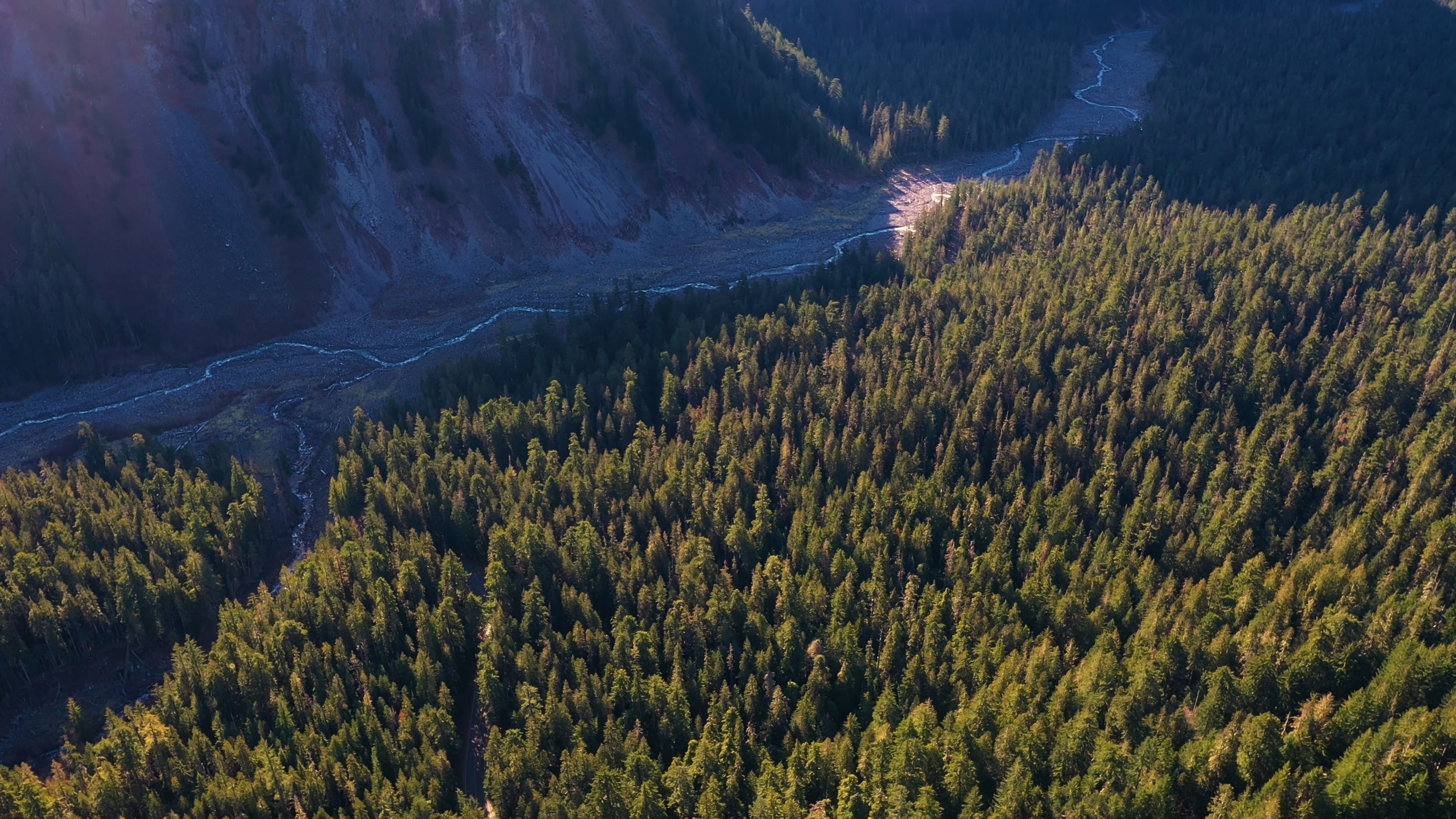 4K航拍秋天的西雅图森林视频的预览图