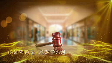 金色光效法律法治社会宣传视频会声会影模板视频的预览图