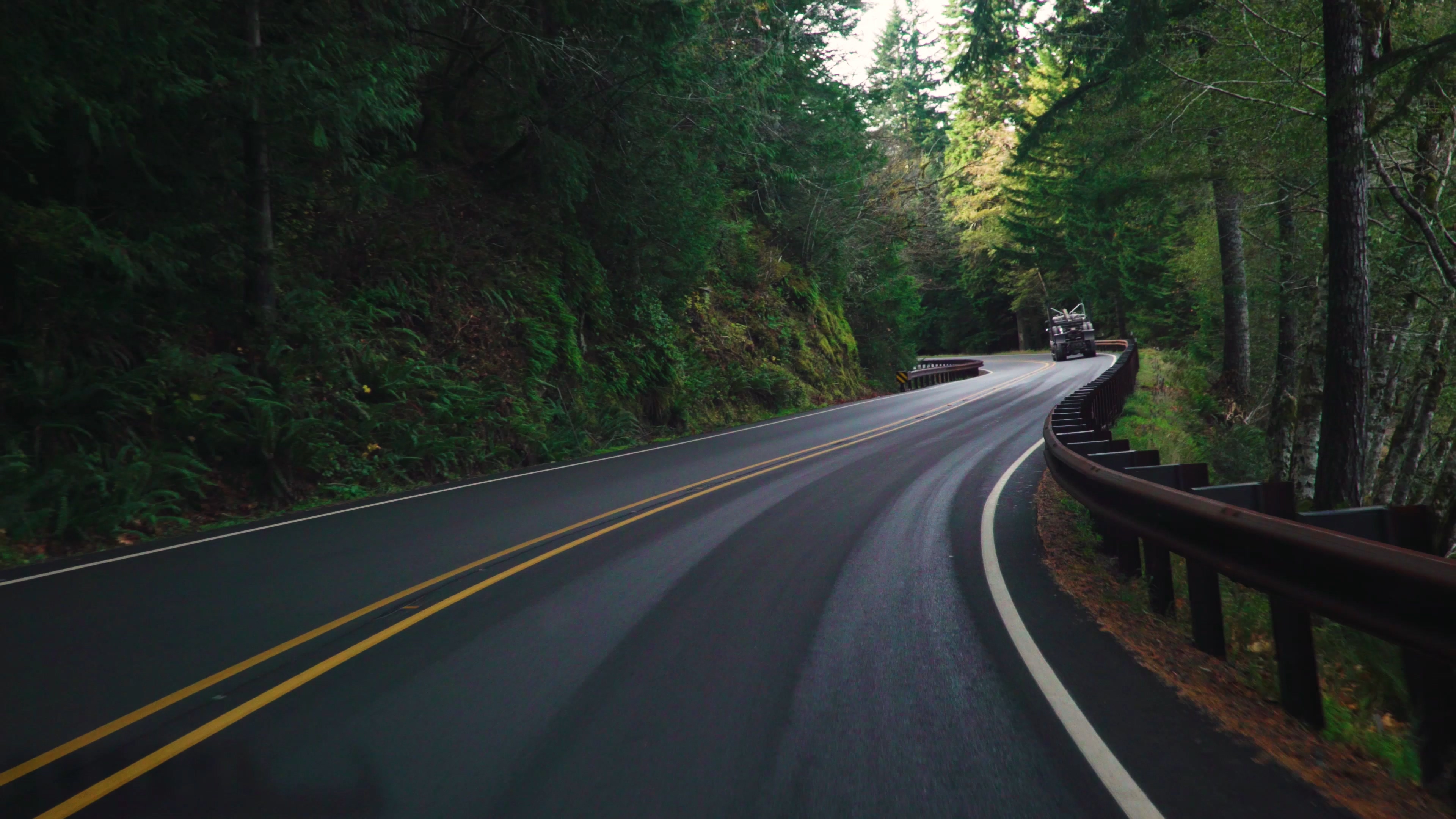 4K实拍第一视角行驶在秋天森林中的道路视频的预览图