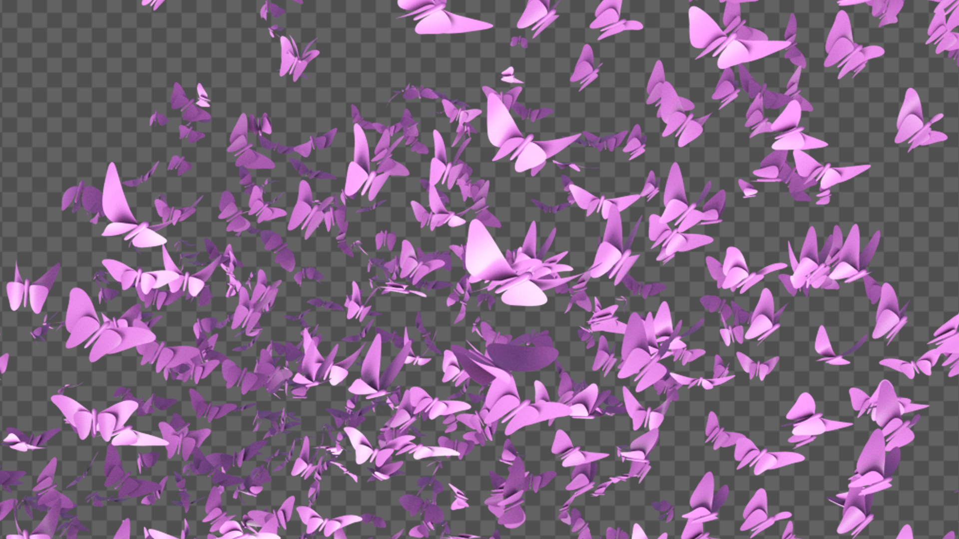 唯美粉红蝴蝶群飞透明通道视频的预览图