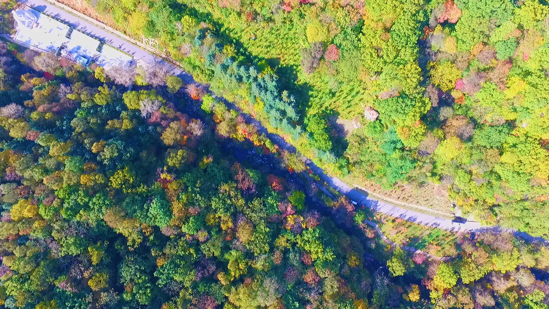 1080P航拍俯视秋天里的美景视频的预览图