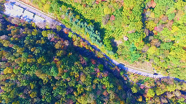 1080P航拍俯视秋天里的美景视频的预览图