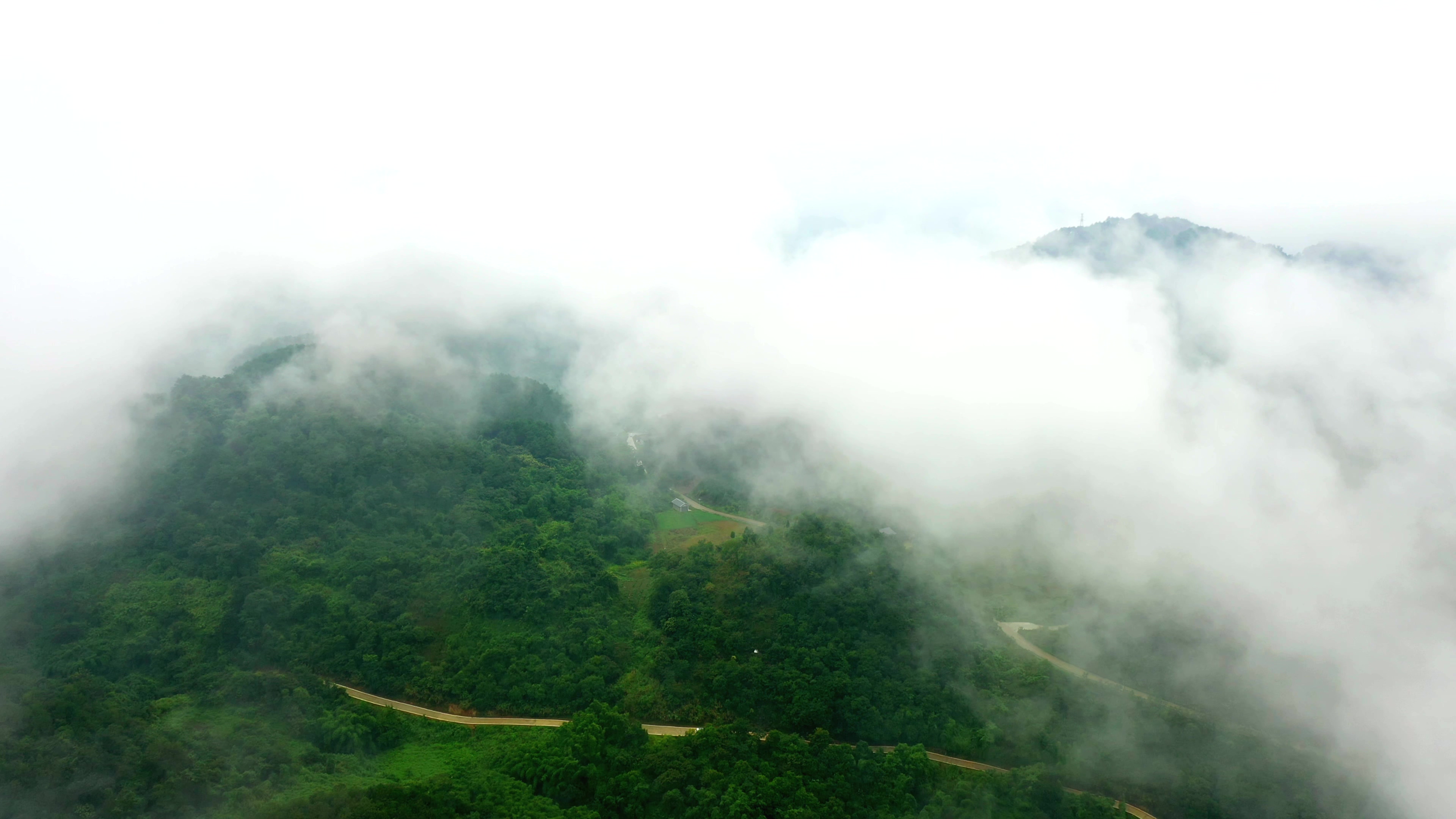 4K实拍云雾中的森林航拍视频素材视频的预览图
