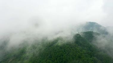 4K实拍雨后云雾缭绕的森林航拍视频素材视频的预览图