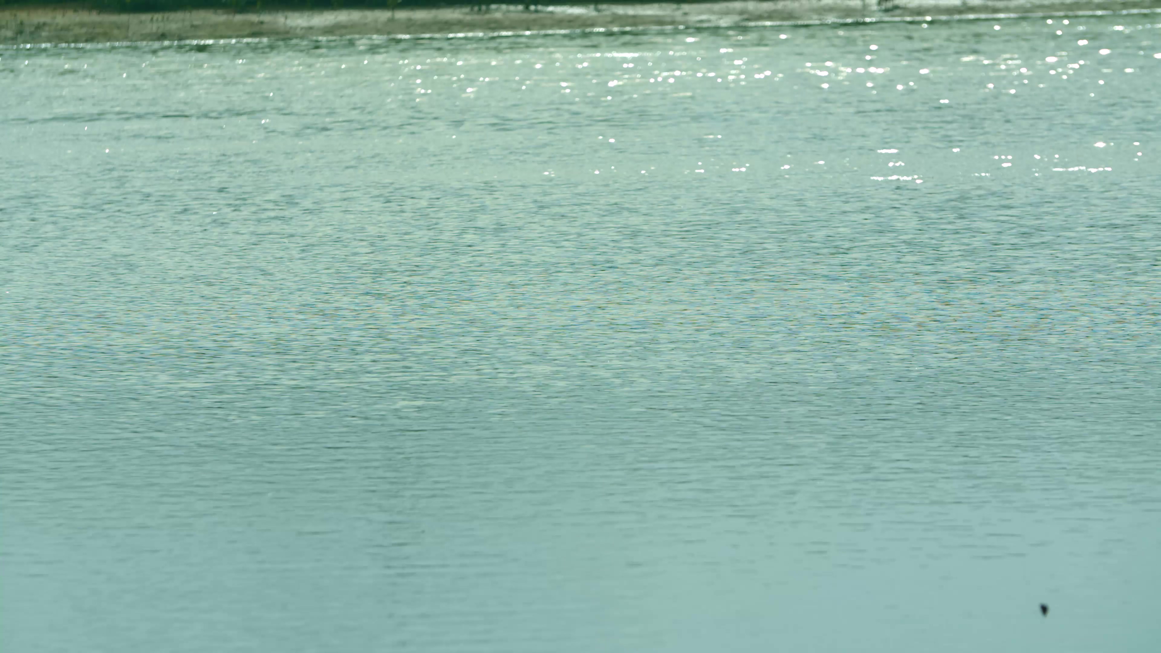 4K实拍湖水在阳光下闪闪发光视频素材视频的预览图
