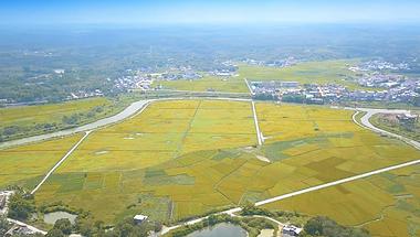 4k航拍环绕拍摄秋收稻田农业视频视频的预览图
