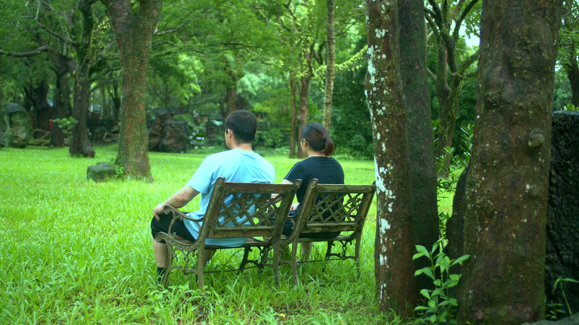 4K实拍坐在公园大树下的中年夫妇视频素材视频的预览图