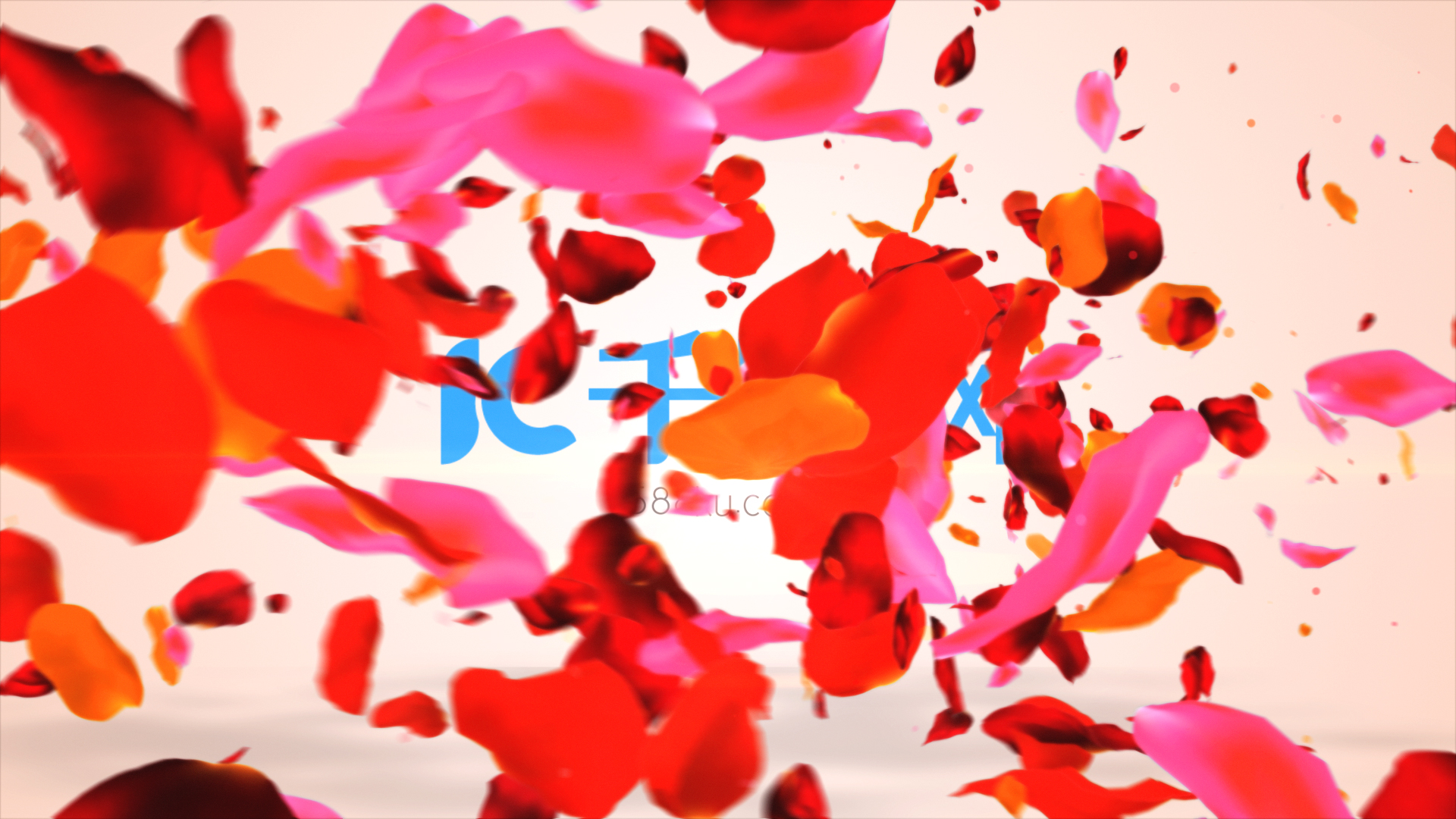 浪漫彩色花瓣飘散LOGO片头视频的预览图