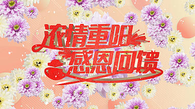 多彩菊花重阳节促销片头视频ae模板视频的预览图