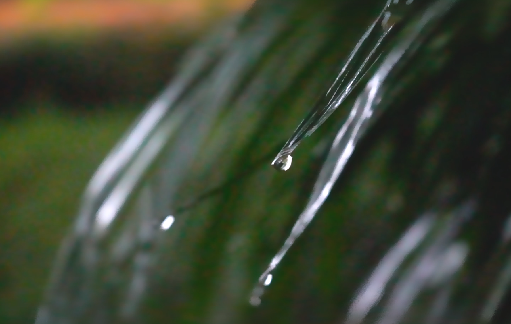 1080P高清升格慢镜头叶子上雨滴滴落素材空镜视频的预览图