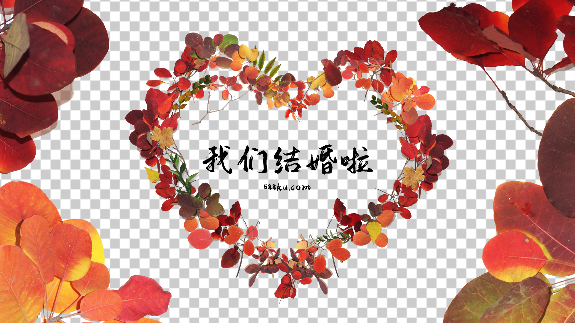 秋季枫叶生长树叶包装套装带通道视频的预览图