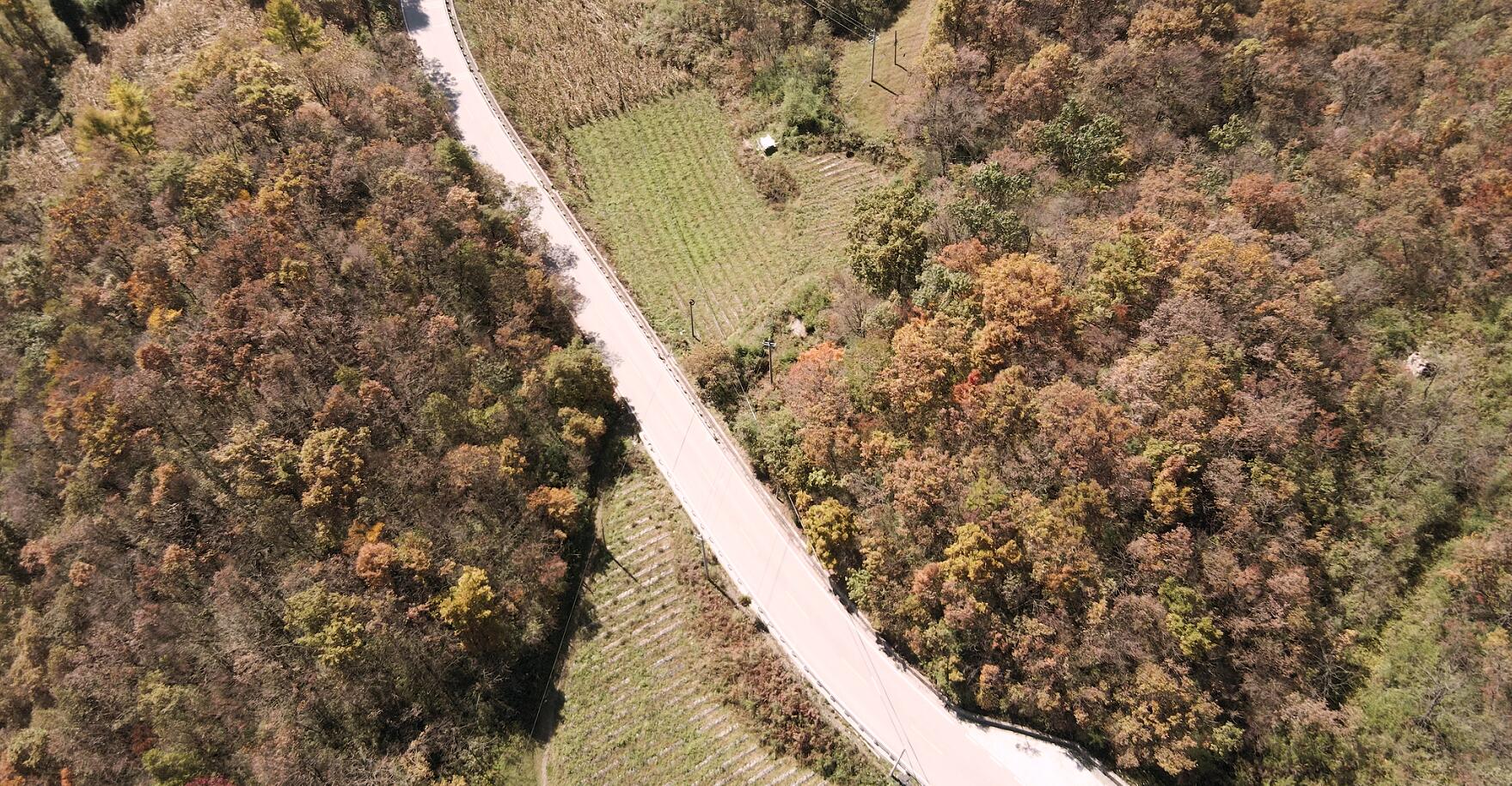 超清4K山区乡道森林航拍秋天美景视频的预览图