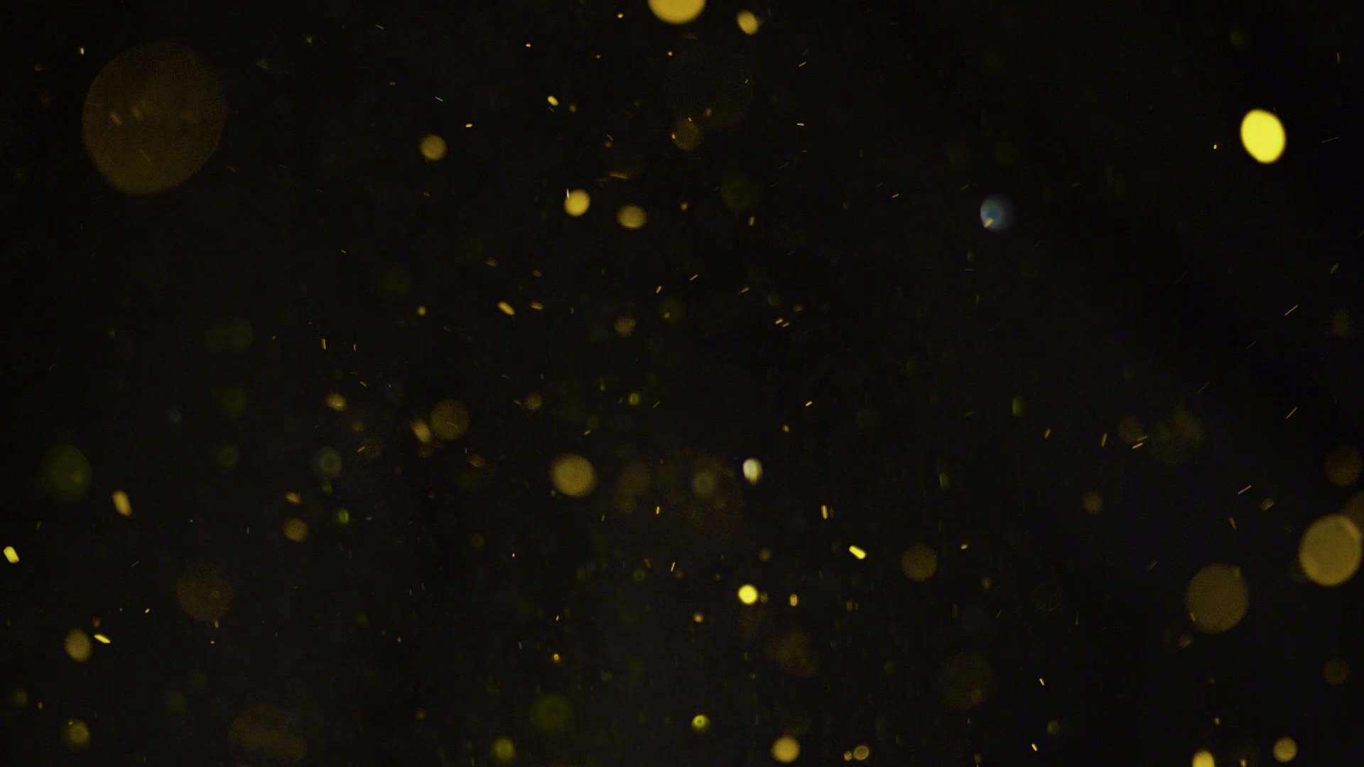 金光斑粒子透明素材通道视频模板视频的预览图