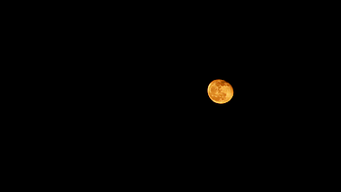 1080夜晚月亮升起延时摄影高清实拍视频视频的预览图