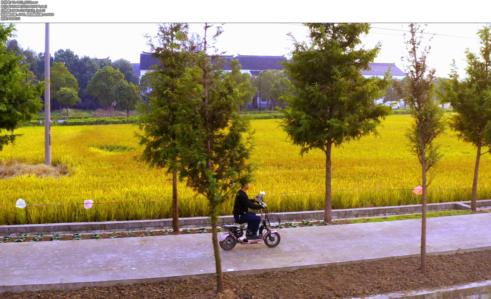 4K实拍骑自行车在秋天稻田间视频素材视频的预览图