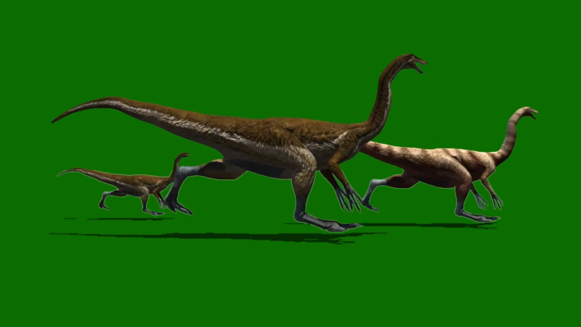 奔跑中的恐龙动物侏罗纪时代抠像素材视频的预览图