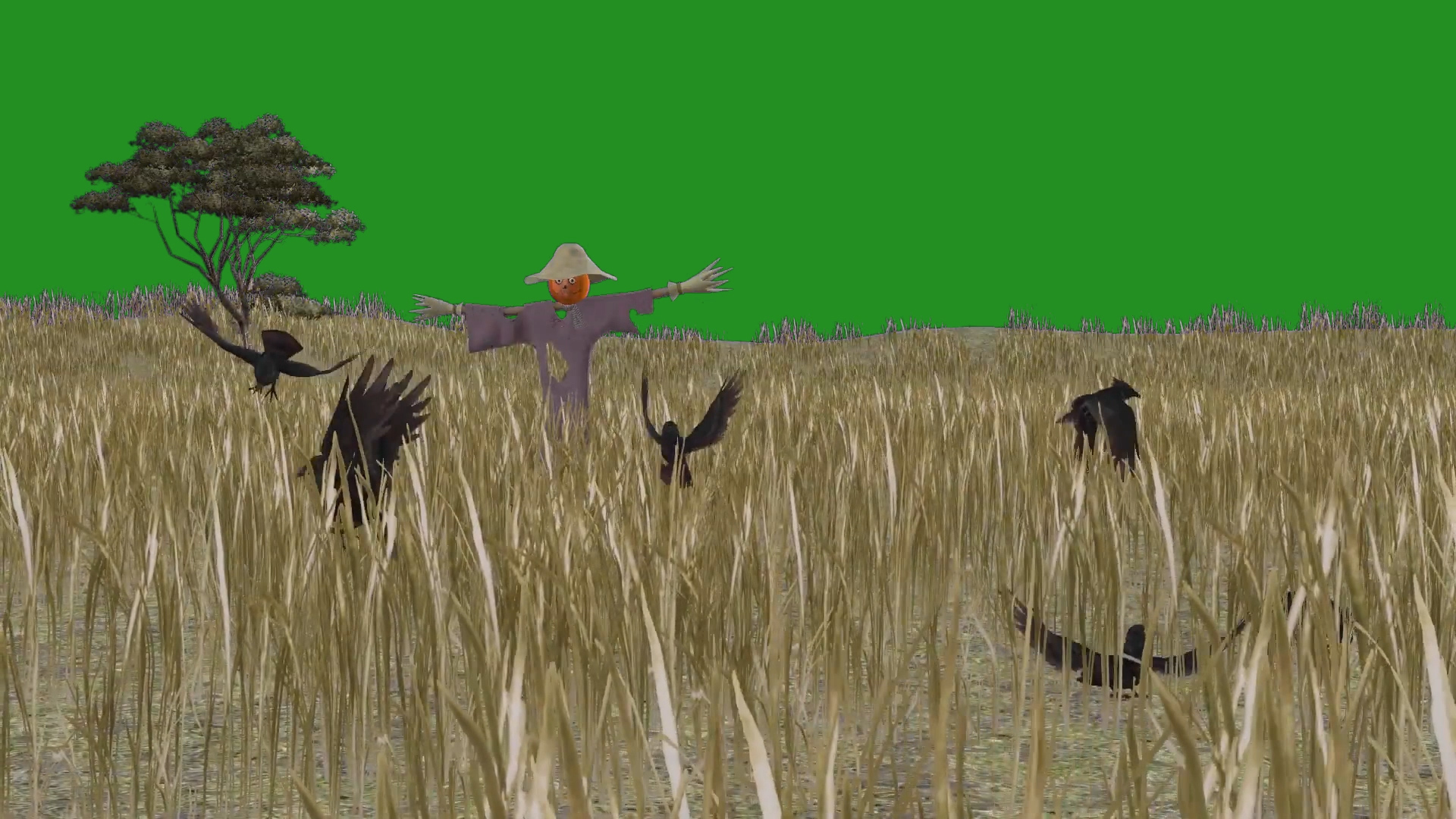 绿色抠像一群小鸟在草地里飞舞合成素材视频的预览图