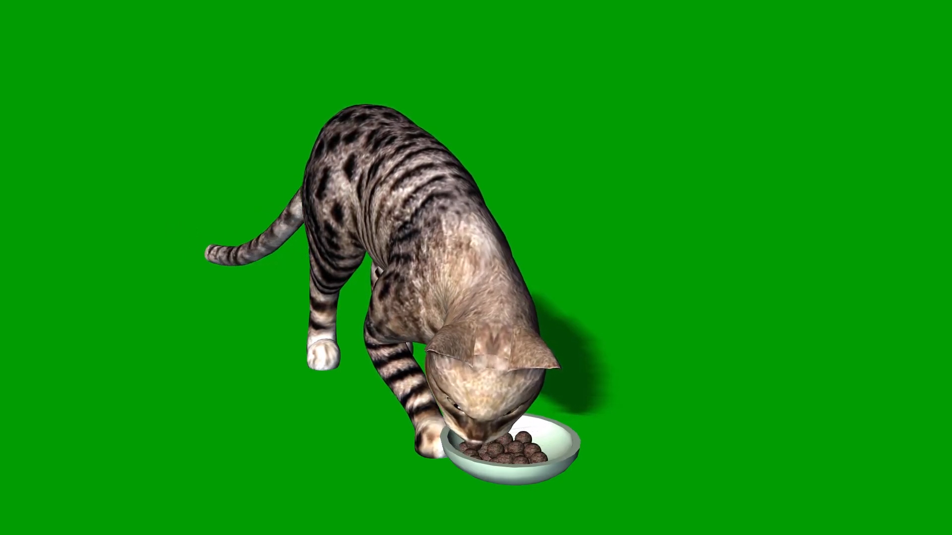 绿色抠像小猫咪吃食物合成素材视频的预览图