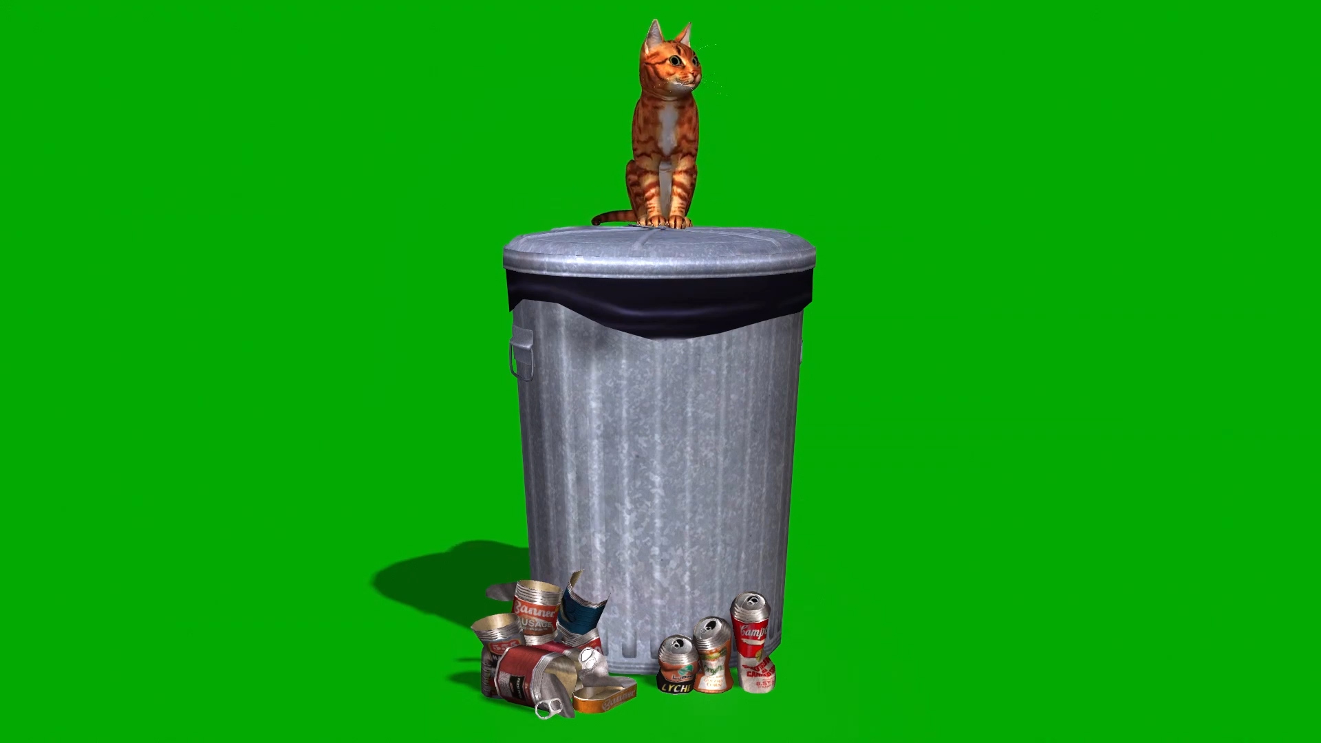 小猫咪在垃圾桶上旁边休息玩耍视频视频的预览图