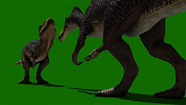 两只恐龙打斗场景抠像素材视频的预览图