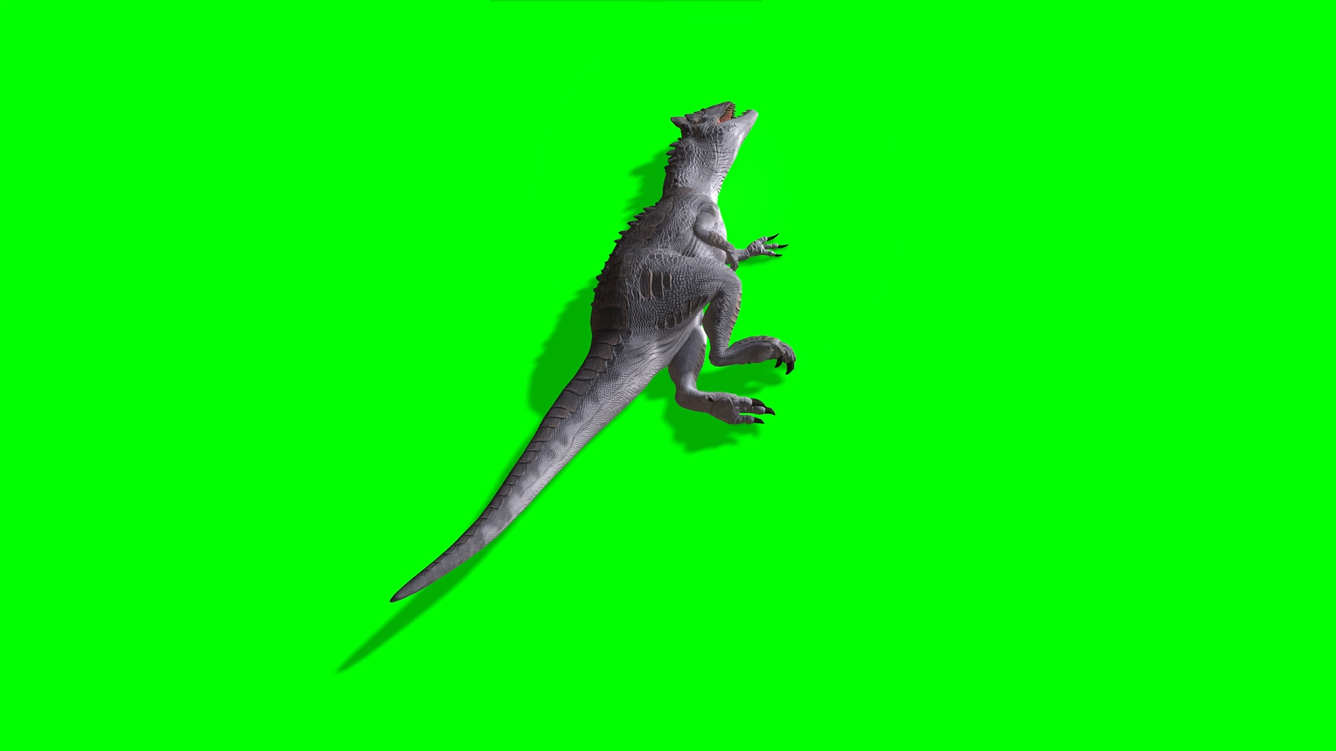 抠像素材大霸王龙嘶吼动物展示合成素材视频的预览图