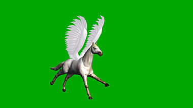 绿色抠像飞马白马展示动物合成素材视频的预览图