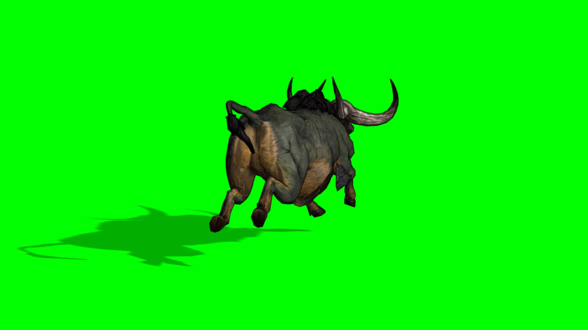 抠像素材牦牛动物合成素材视频的预览图