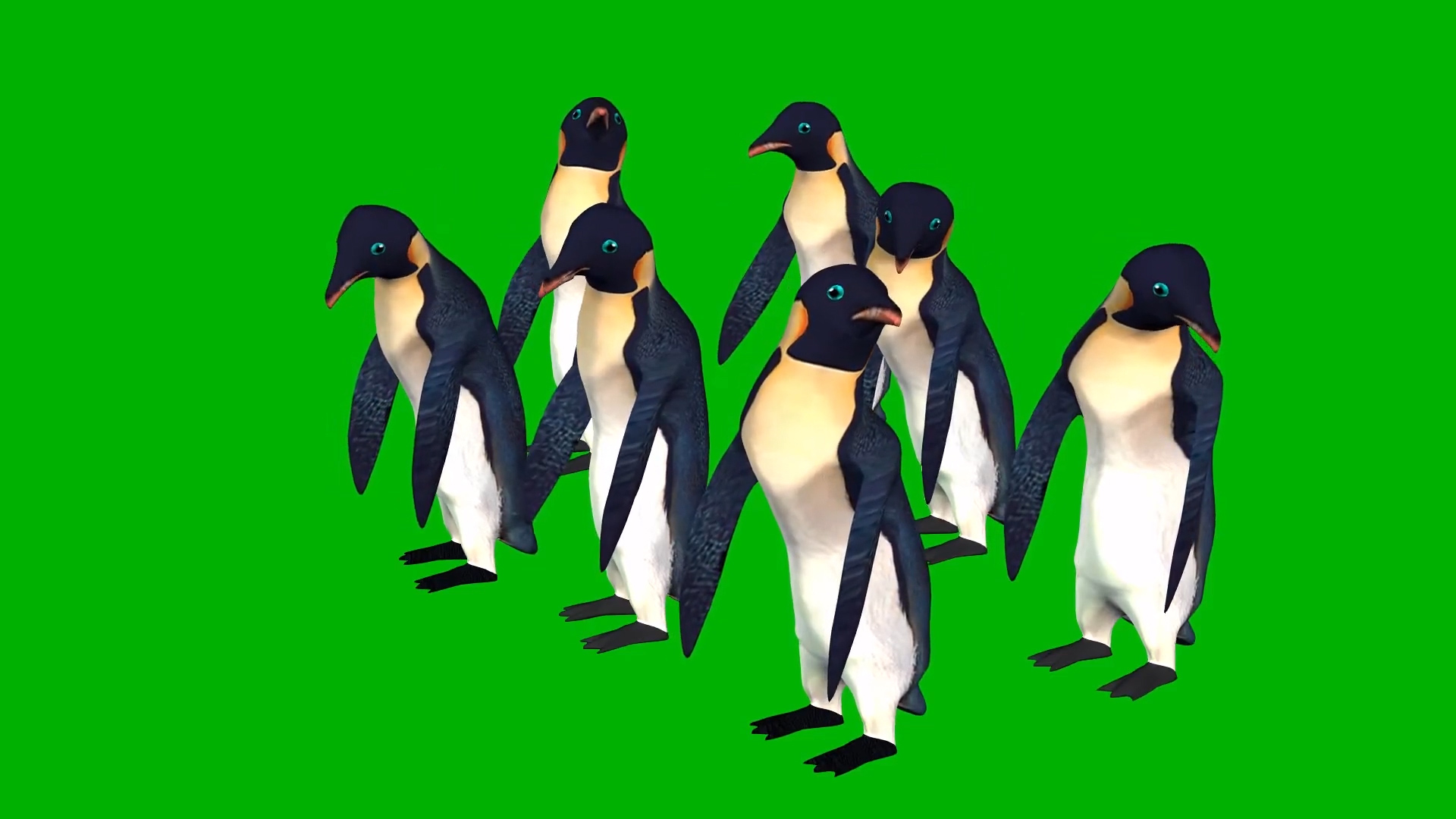 一群企鹅休息展示合成素材视频的预览图
