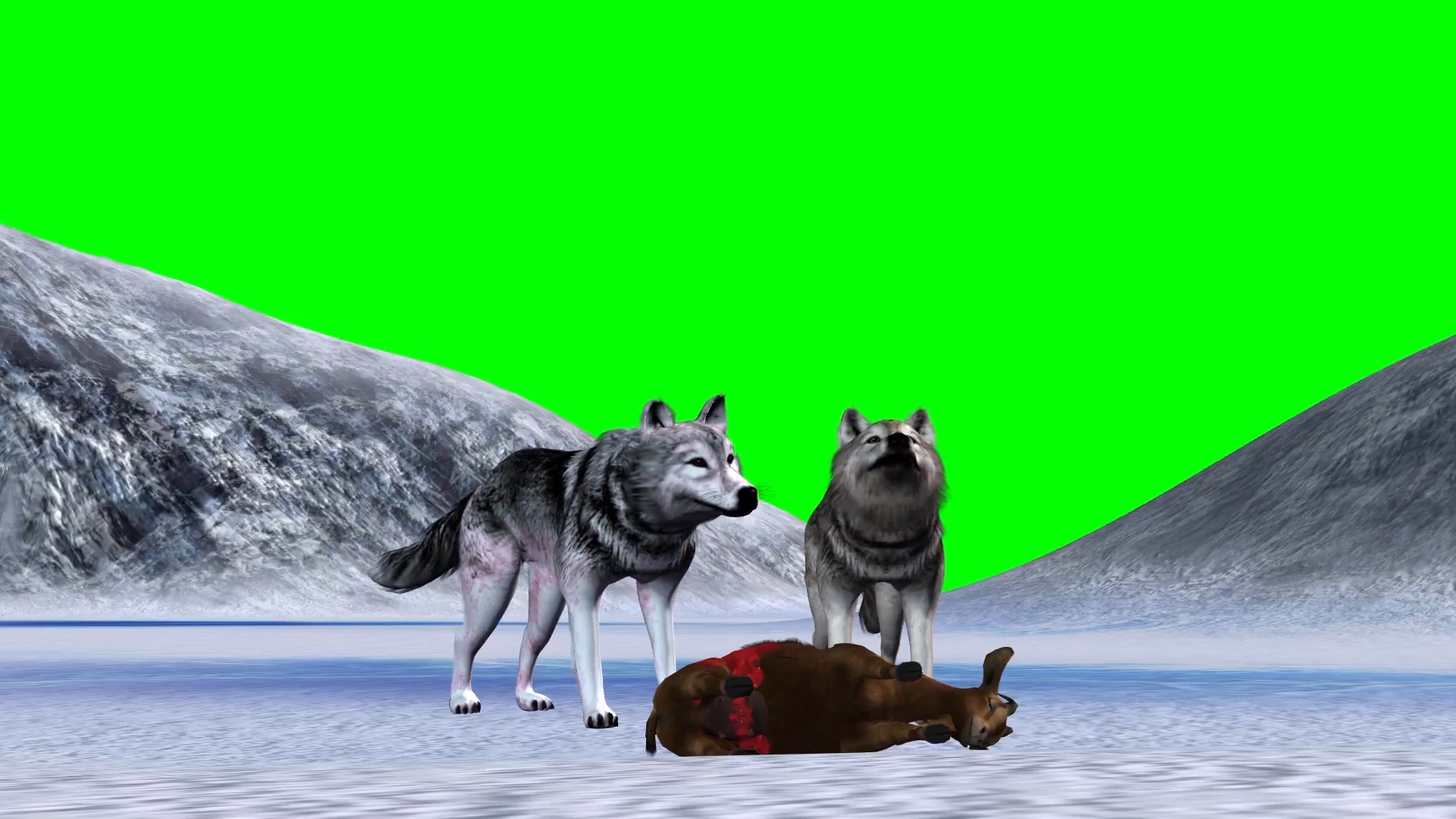 山里雪狼觅食动画展示合成素材视频的预览图
