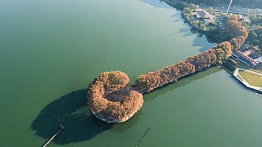 4K武汉后湖湖中金黄小道风光实拍视频的预览图