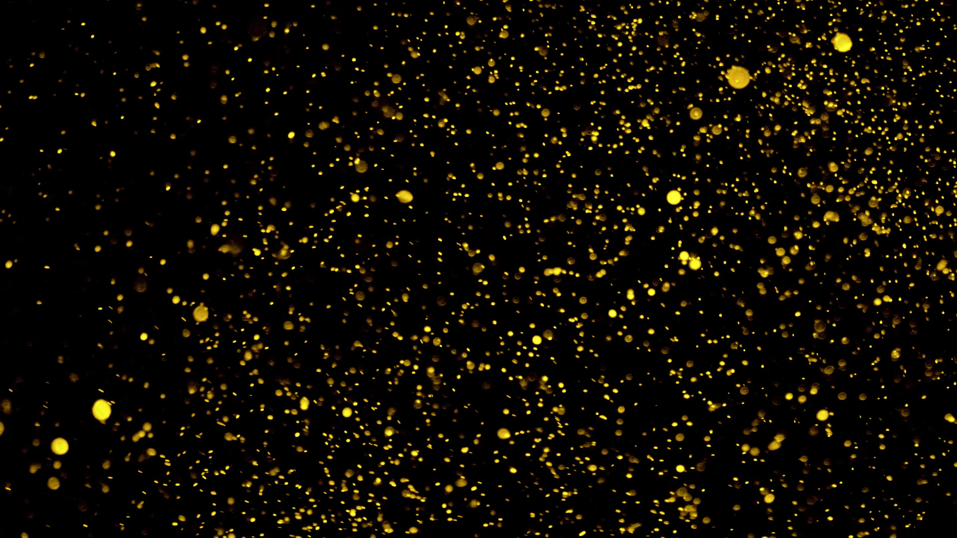 金粉粒子特效视频MOV视频的预览图