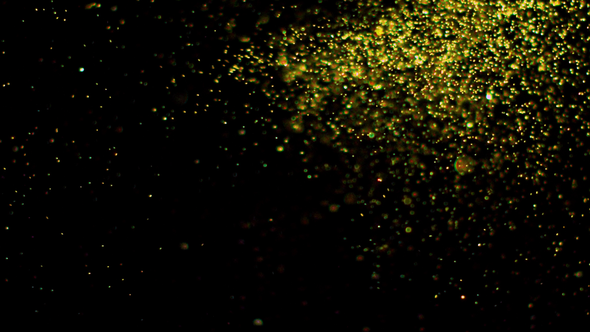 金粉粒子通道素材视频素材视频的预览图