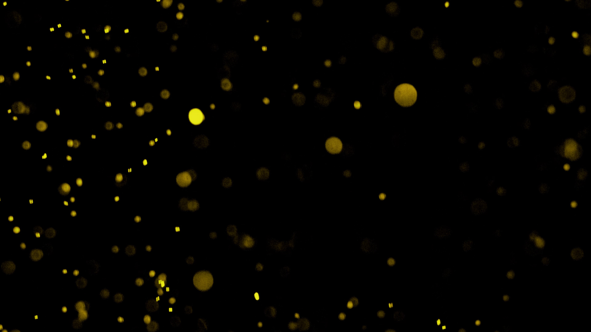 金粉粒子特效透明通道视频MOV视频的预览图