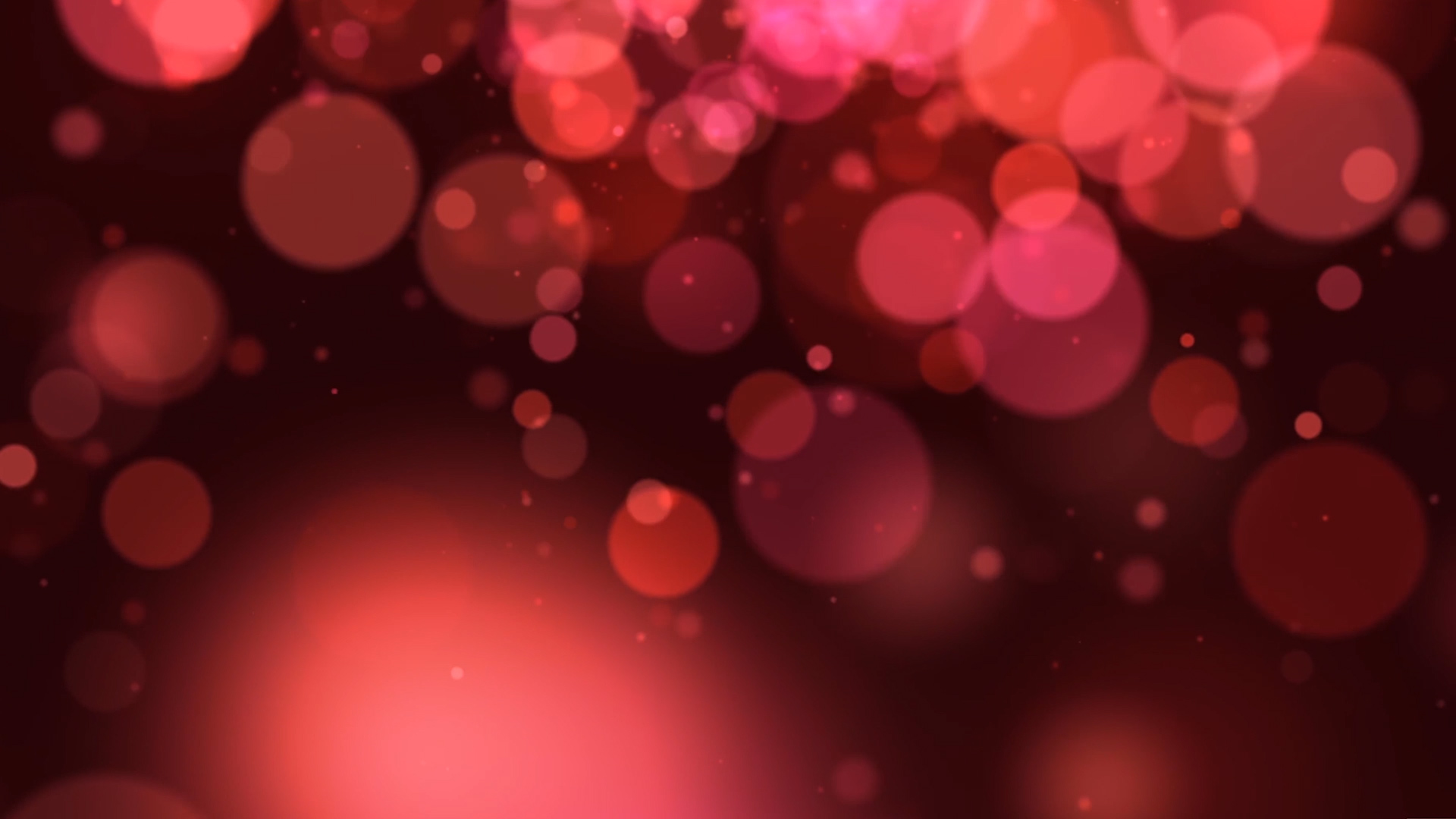 红色粒子斑点梦幻闪烁动态视频素材视频的预览图